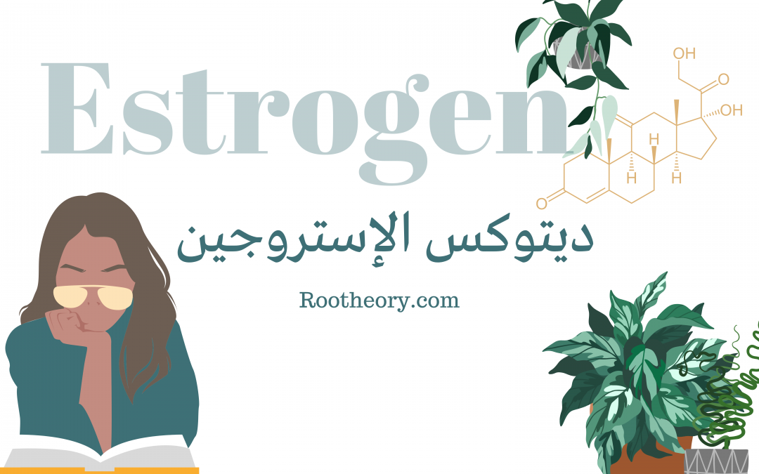 ديتوكس الإستروجين