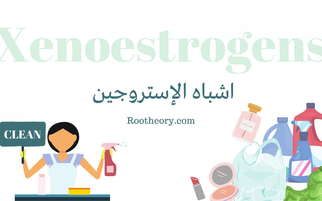 زينواستروجين